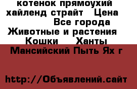 котенок прямоухий  хайленд страйт › Цена ­ 10 000 - Все города Животные и растения » Кошки   . Ханты-Мансийский,Пыть-Ях г.